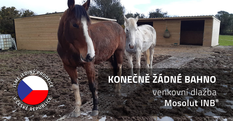 Venkovní dlažba Mosolut INB