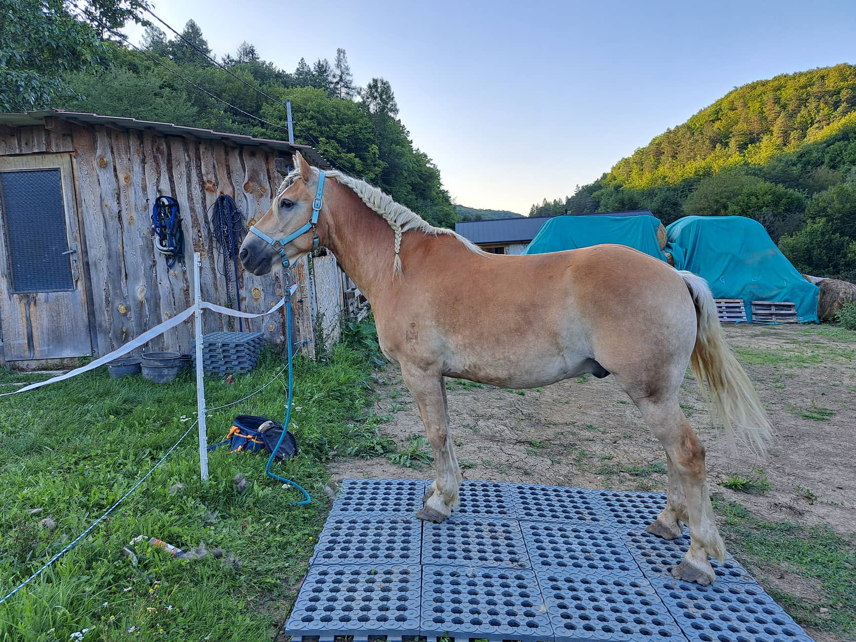 SOUKROMÁ FARMA BOHUNICE, SK