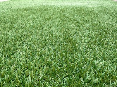 Umělý trávník Mosolut Grass, husté trsy trávy