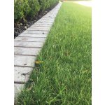 Zatravňovací rohož BERA Grass Fix ECO+, šedá